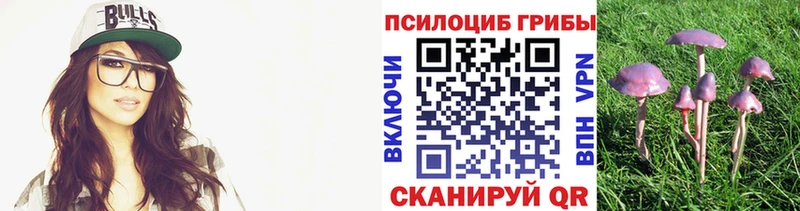 Галлюциногенные грибы Psilocybe  закладка  Новокубанск 